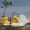 Prato_Fundo_Soleil_Limoni_24Cm_Oxford_46714 -2-